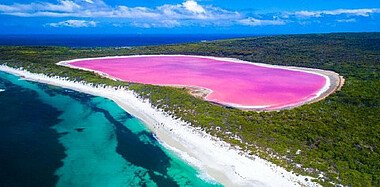 Ein pinker See in Australien