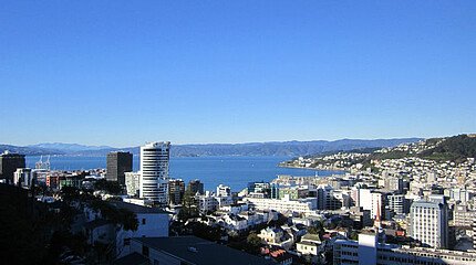 Erfahrungsbericht Bannert Wellington Neuseeland