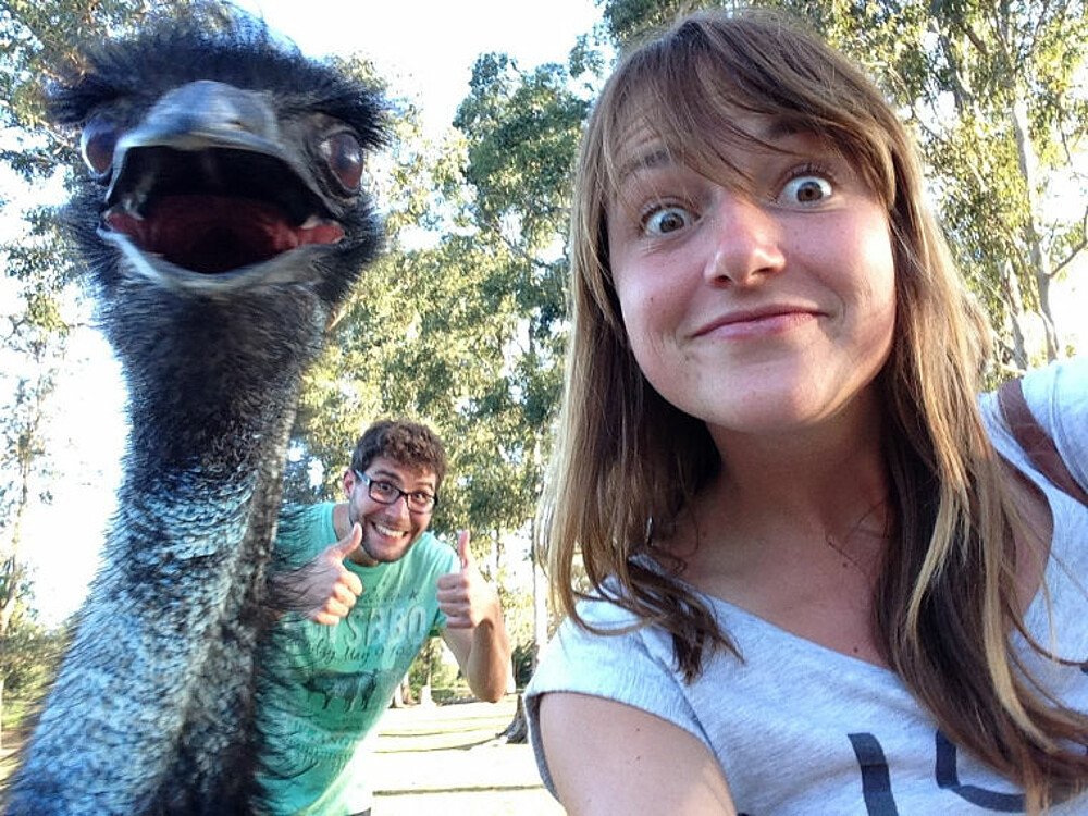Studentin und Emu