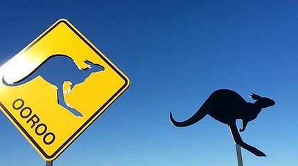 Kangaroo signs