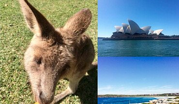 Collage Studium in Australien