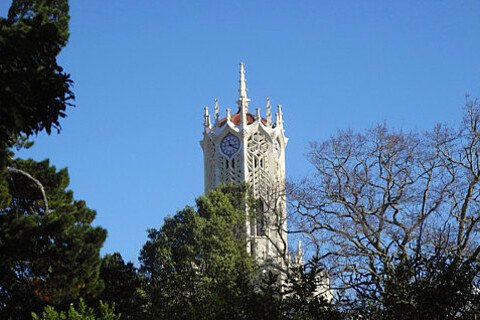 Die University of Auckland