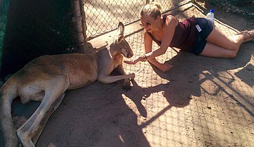 Relaxen mit Känguru - Australien