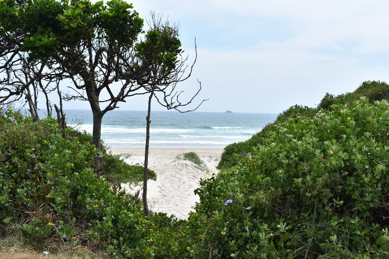 Blick auf Strand in Australien