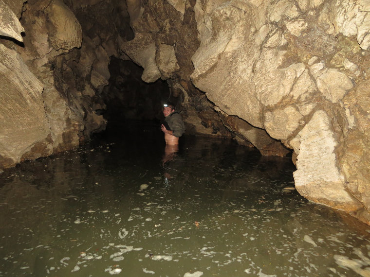 "Spelunking" in den Abbey Caves, Whangarei 