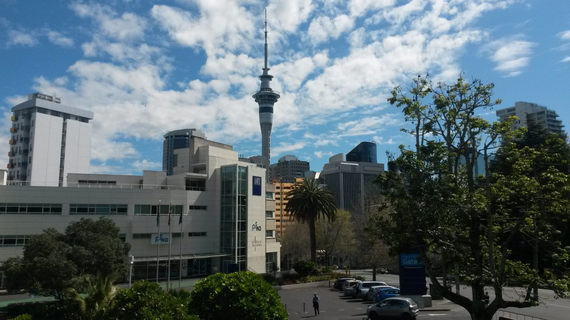 Auslandssemester in Auckland